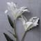 White Lily Stem by Ashland Classic Traditions&#x2122;